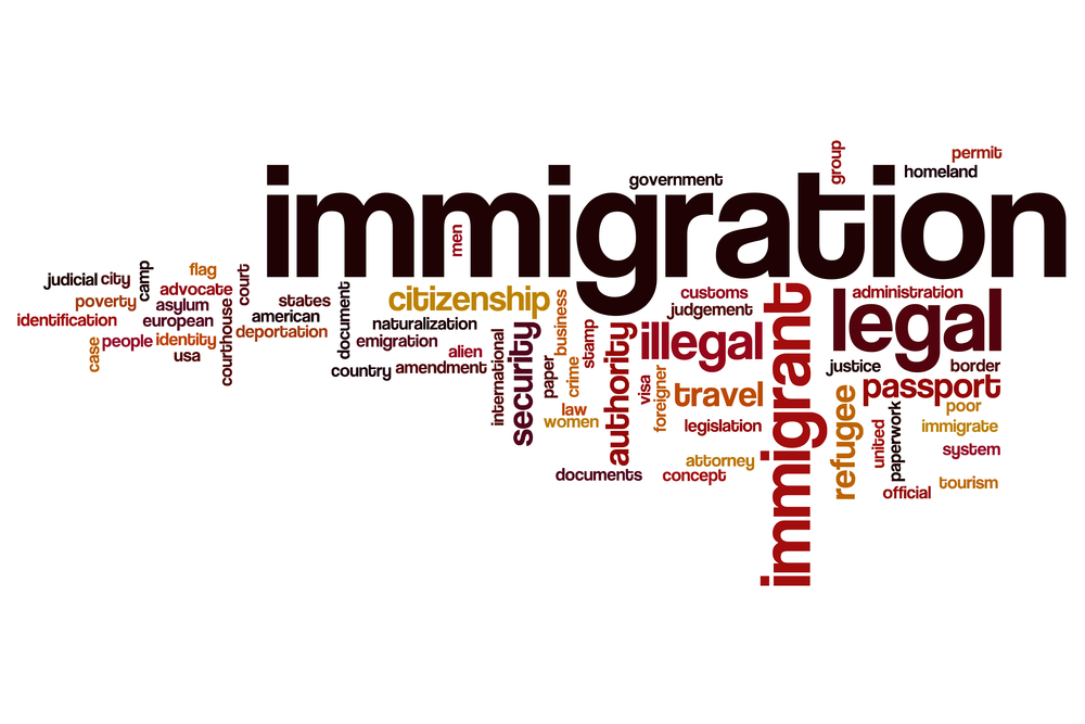 immigration consultant at chandigarh
